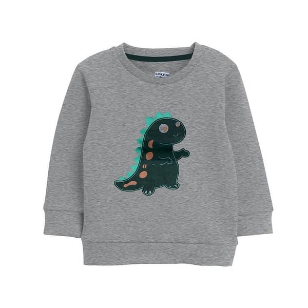 Boy's Exclusive Printed Fleece Sweat Shirt