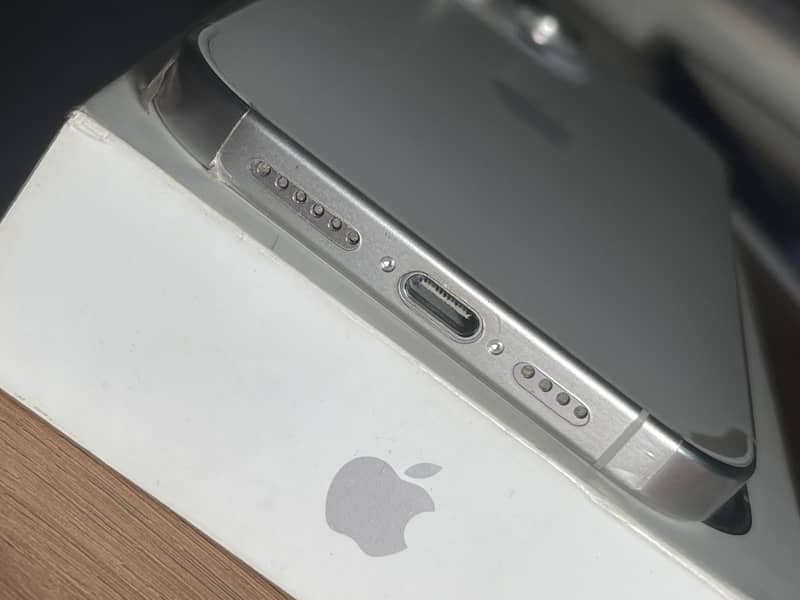 Apple iPhone 15 Pro Max 1