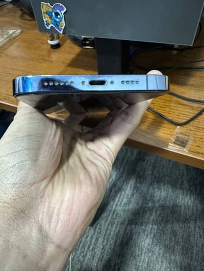 Apple iPhone 13 Pro Max