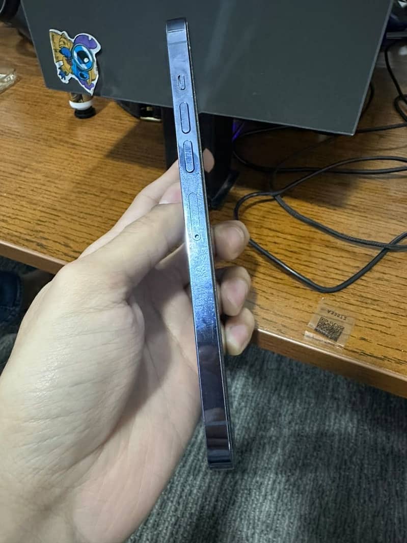 Apple iPhone 13 Pro Max 1