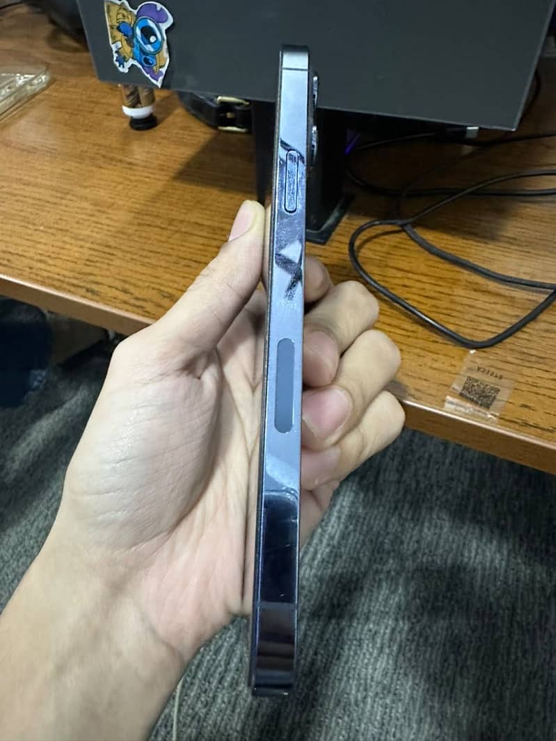 Apple iPhone 13 Pro Max 3