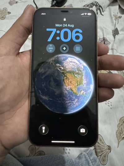 12 pro