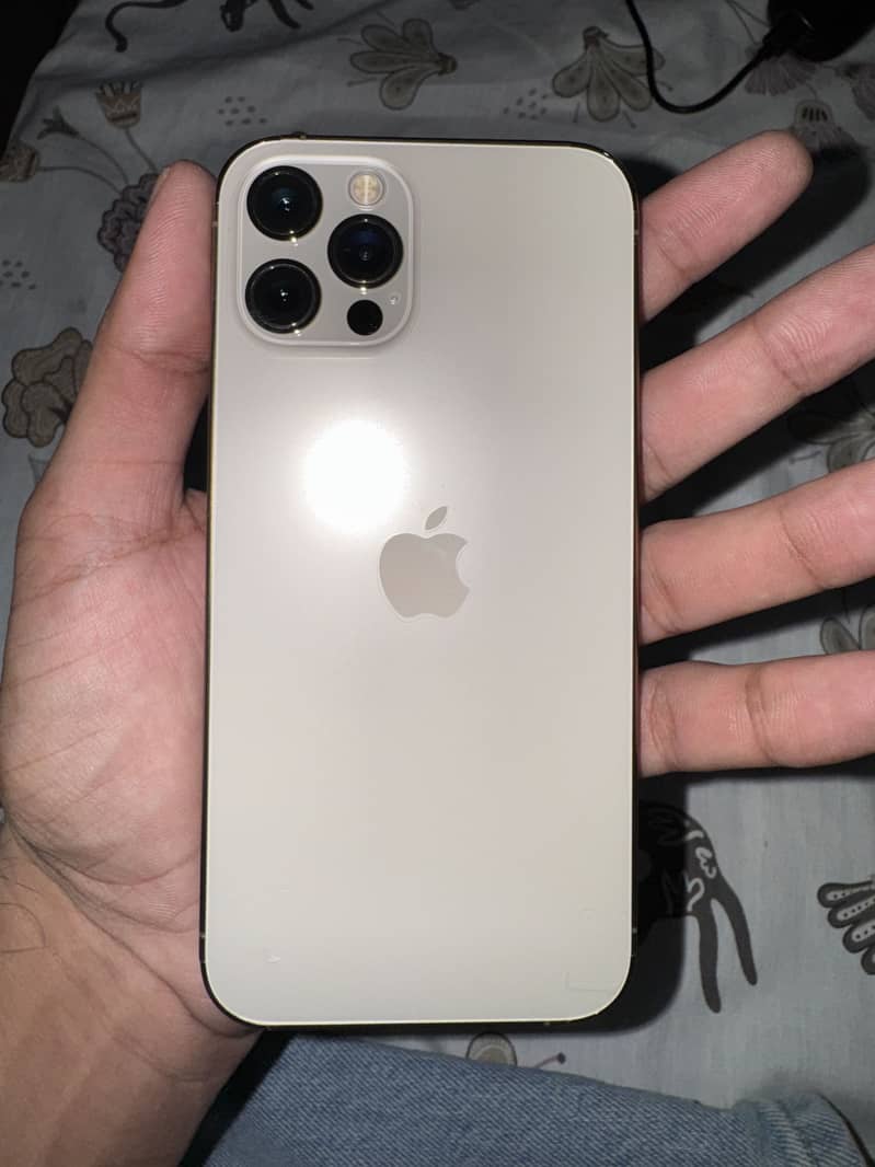 12 pro 3
