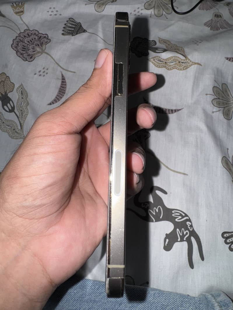 12 pro 4