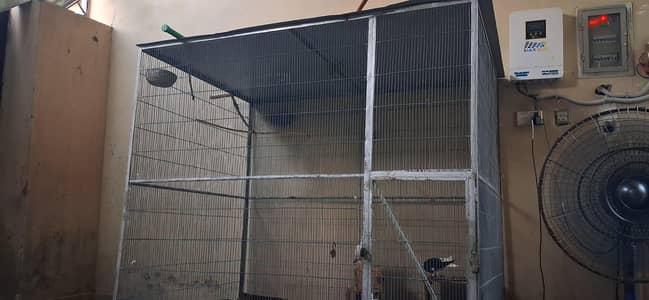 cage for  birds