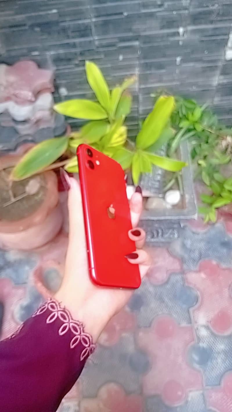 Apple iPhone 11 1