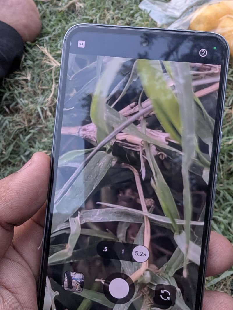 Google Pixel 8 4