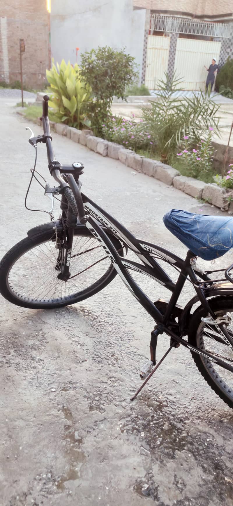 Plus Mountain bike 2