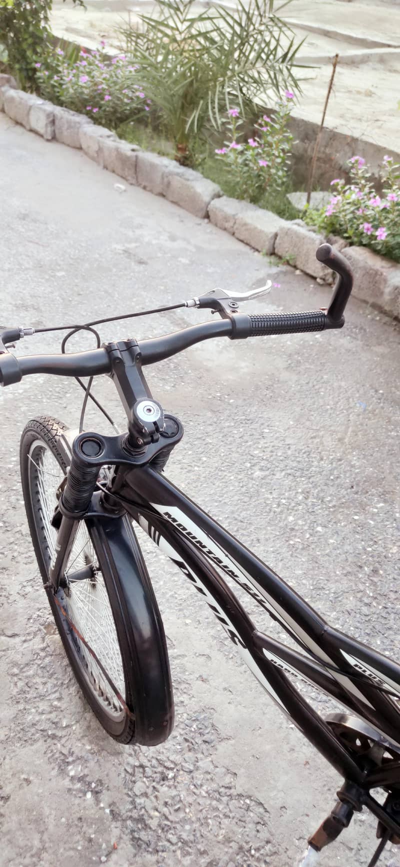 Plus Mountain bike 4
