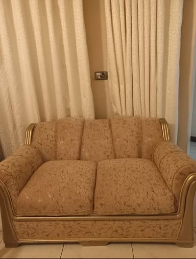 Elegant Sofa set for drawing room