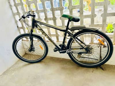 Alton Chinese brand Bicycle 9/10 condition