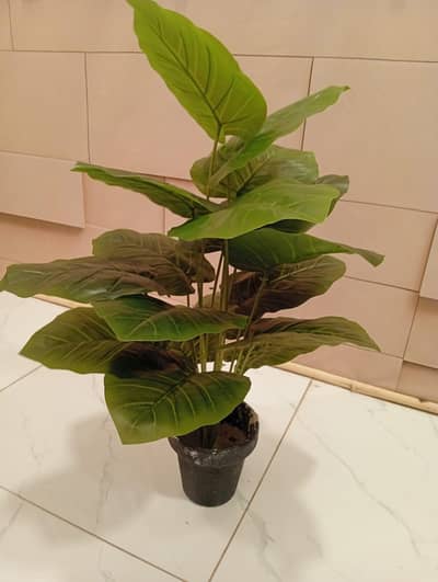 Best artificial money plants