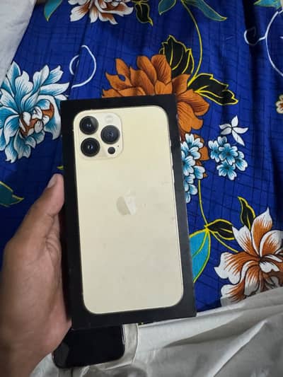 Apple iPhone 13 Pro Max