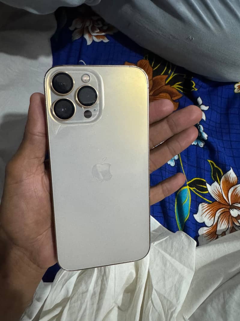 Apple iPhone 13 Pro Max 1