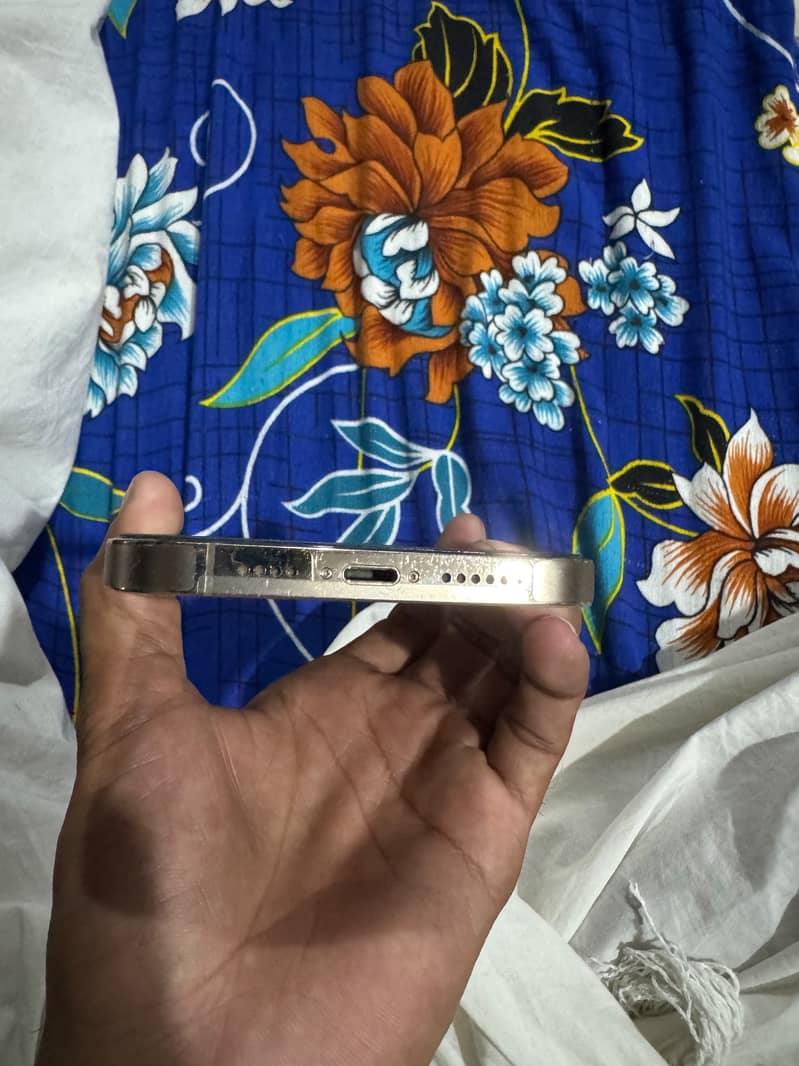 Apple iPhone 13 Pro Max 2