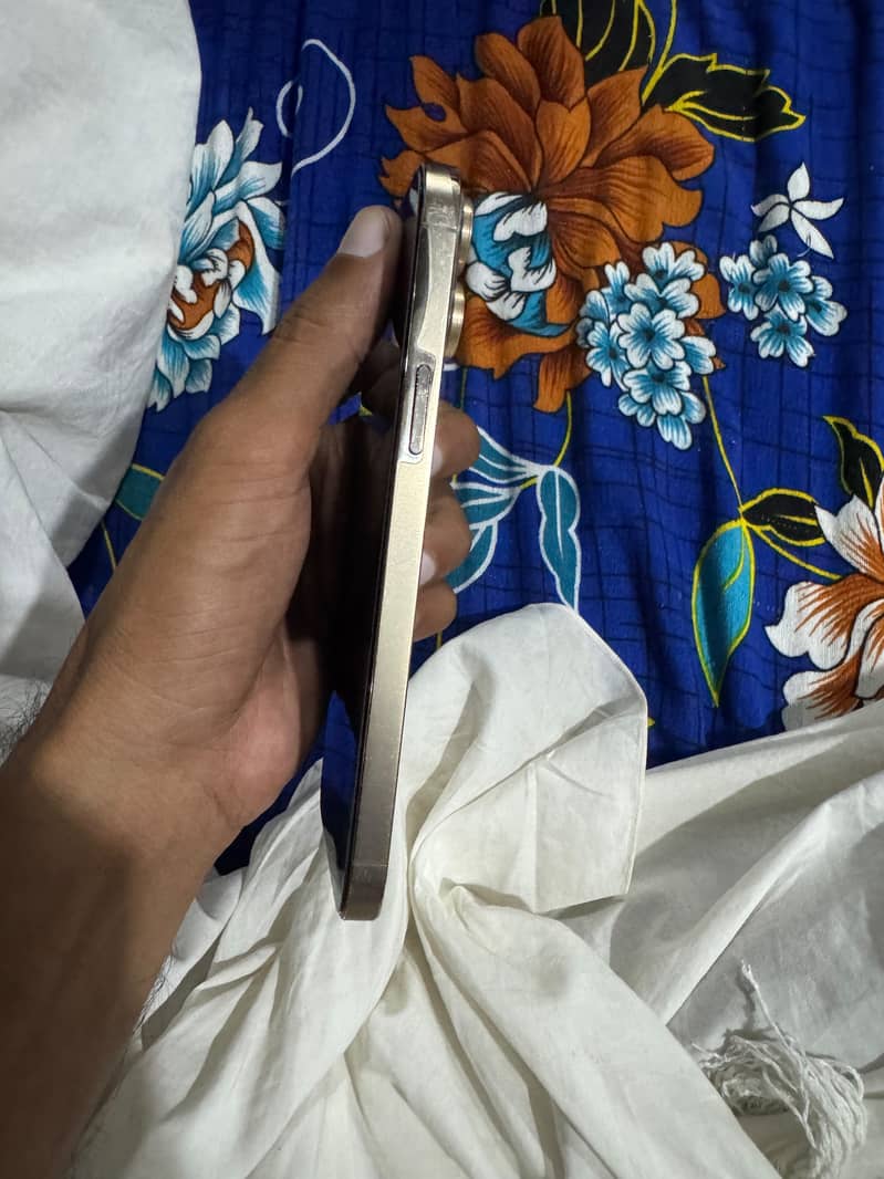 Apple iPhone 13 Pro Max 3