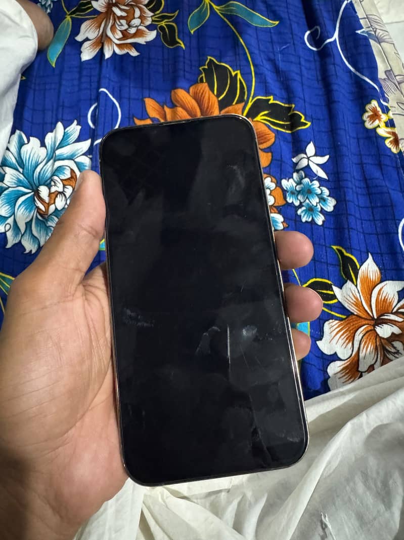 Apple iPhone 13 Pro Max 6