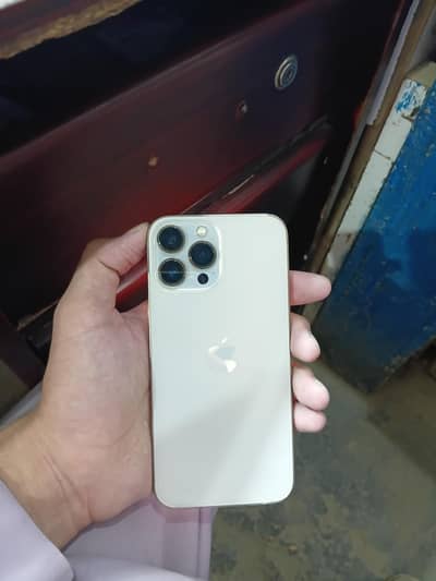 Apple iPhone 13 Pro Max