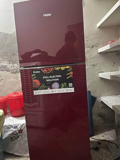 haier medium fredge