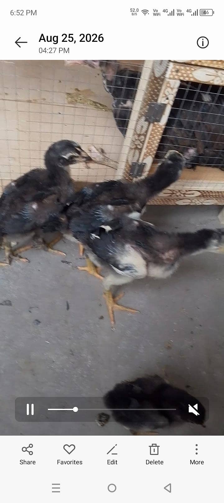 Thai trat 0