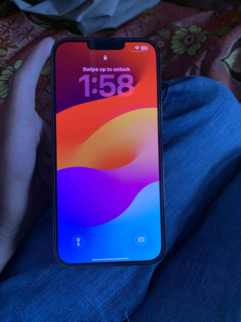 Apple iPhone 13 Pro Max 1