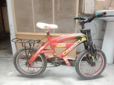 bicycle for kids