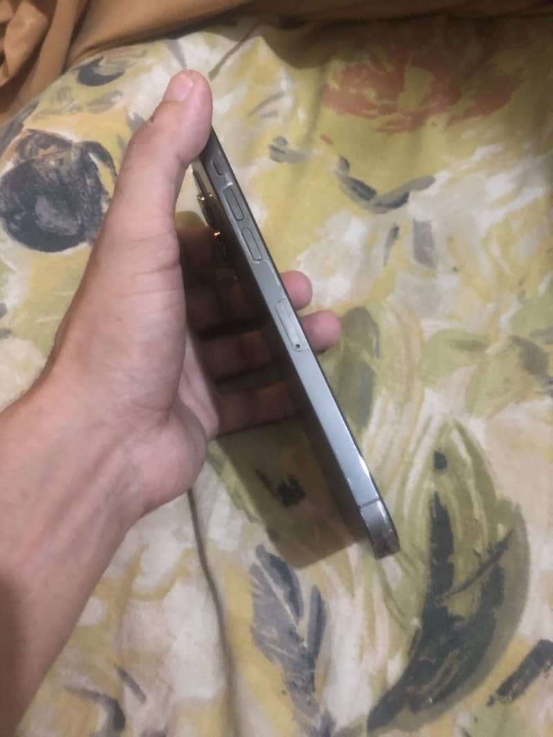 Apple iPhone 12 Pro Max 3