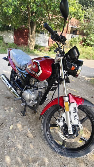 Yamaha yb125z DX 2026 lush cundition