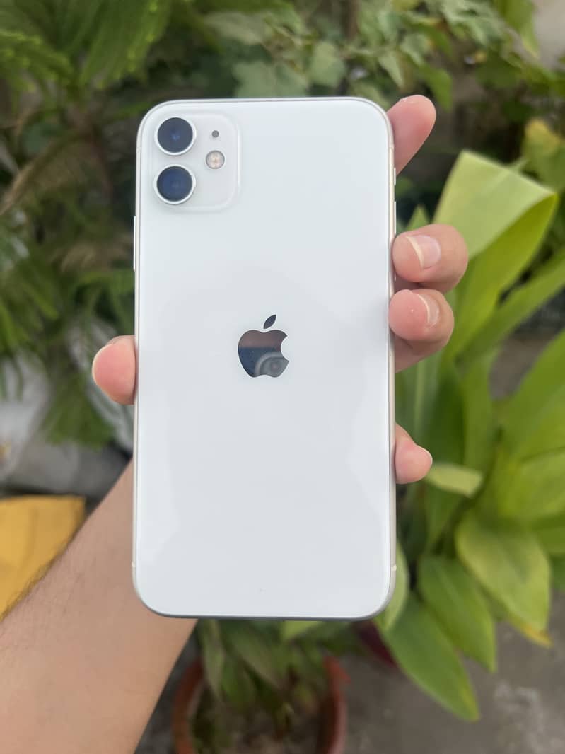Apple iPhone 11 0