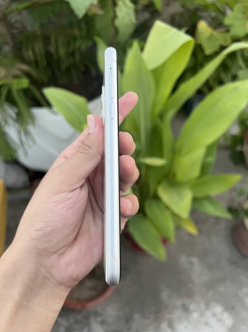 Apple iPhone 11 2
