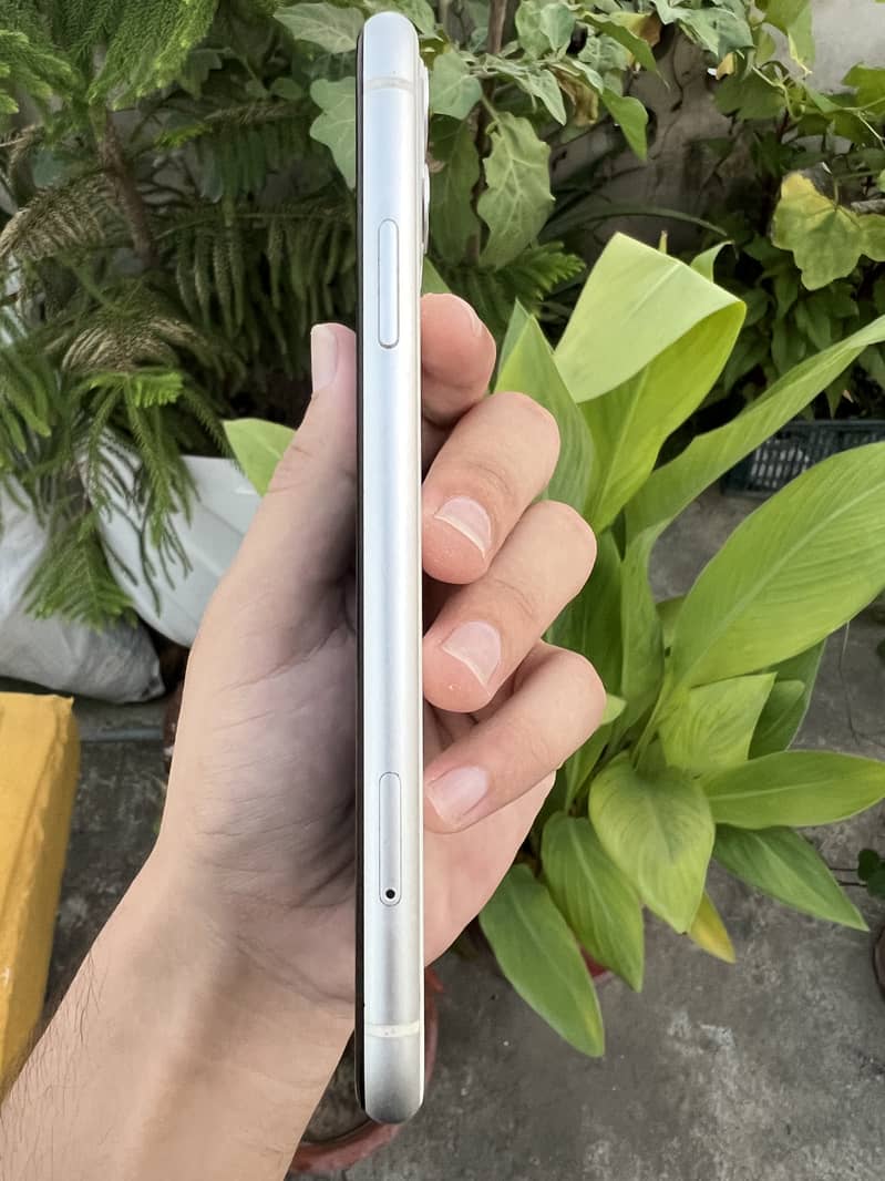 Apple iPhone 11 3