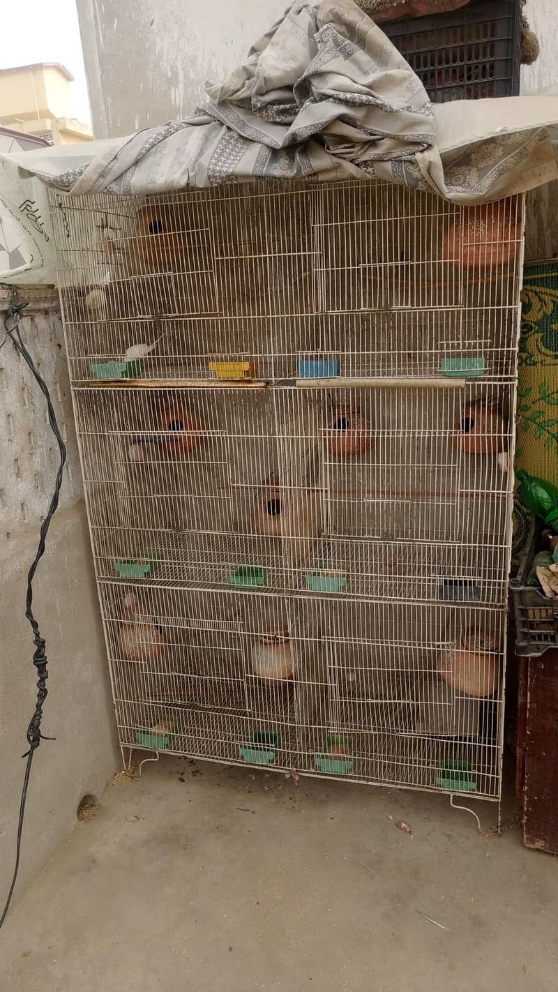 6 potion cage 0