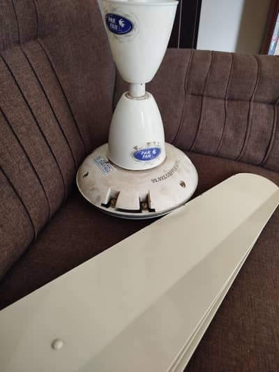 ceiling fans