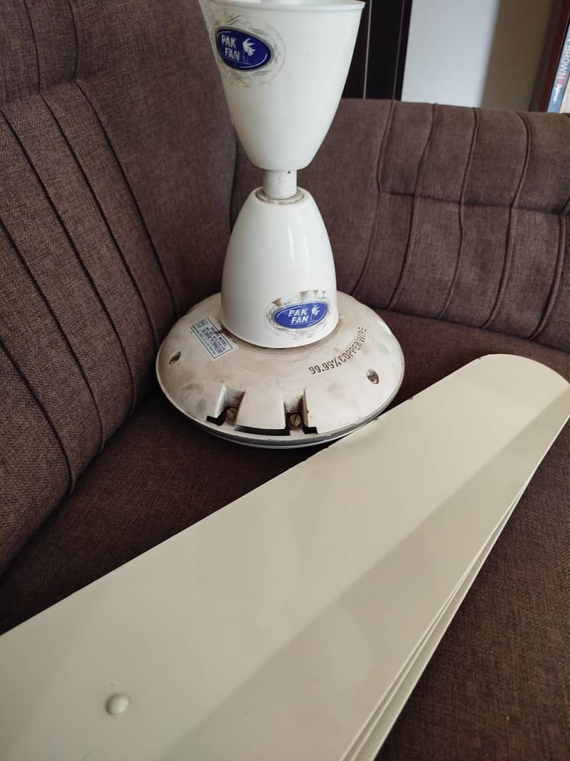 ceiling fans 0