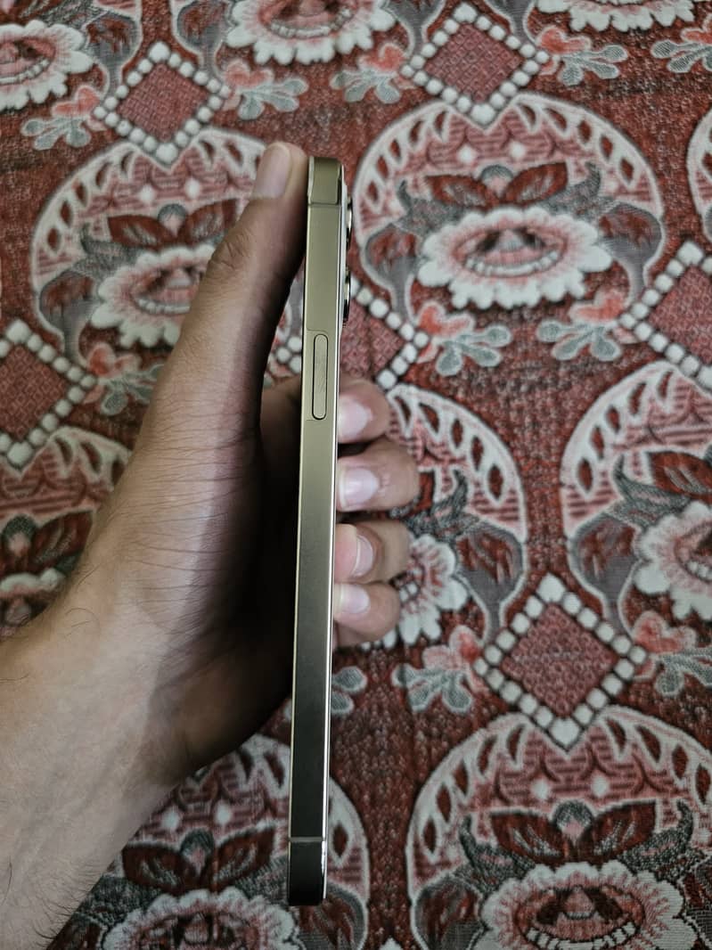 Apple iPhone 12 Pro Max 7