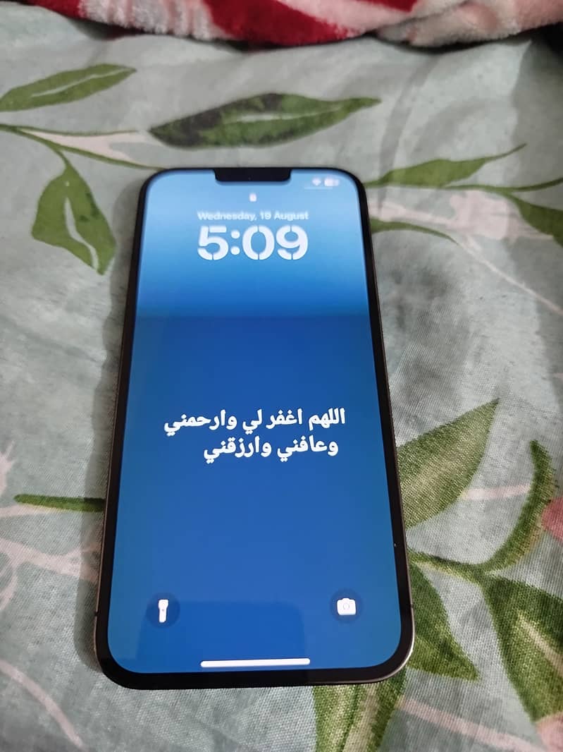 Apple iPhone 13 Pro Max 0
