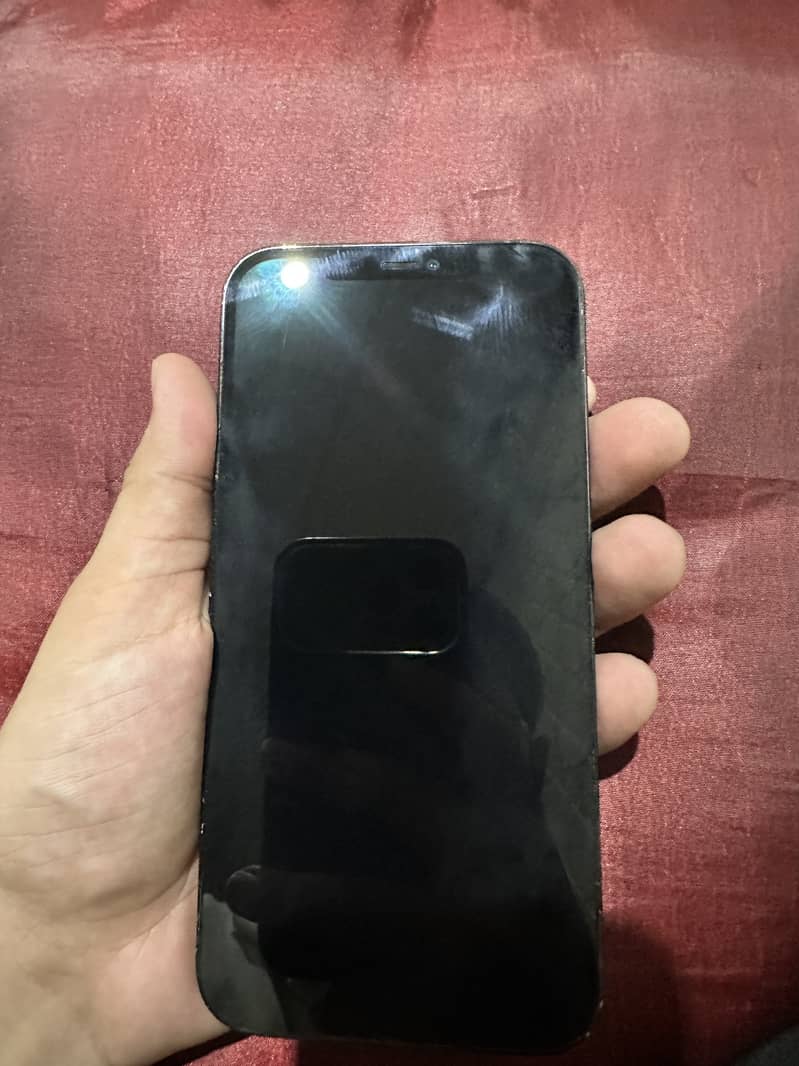 Apple iPhone 12 Pro Max 1