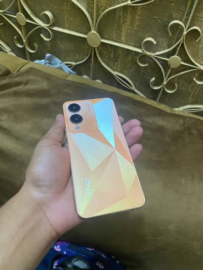 Vivo Y17s