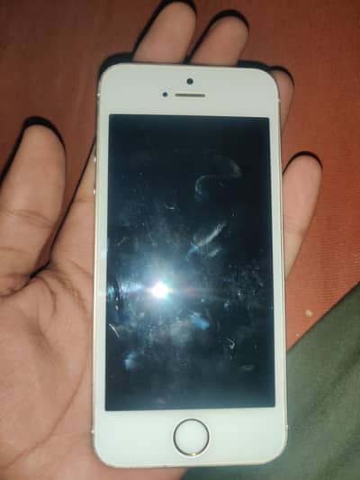 Apple iPhone 5s