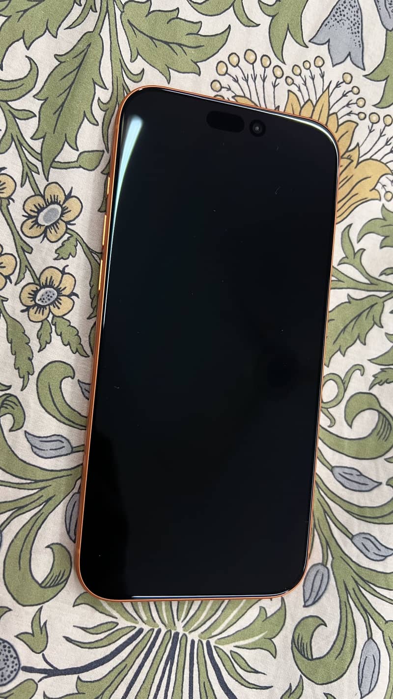 Apple iPhone 17 Pro Max 1
