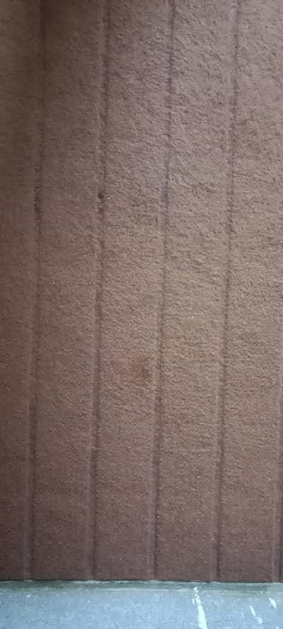 Carpet for sale