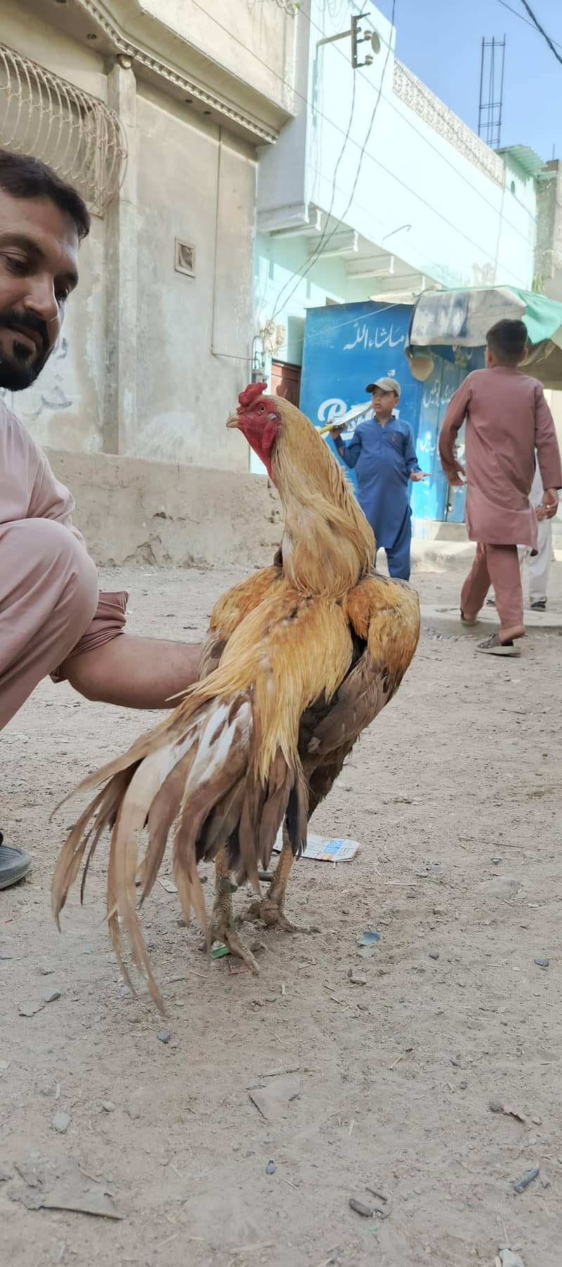 گھر کا پالا ہوا شوقین افراد کے لیے بہترین تحفہ۔ 2