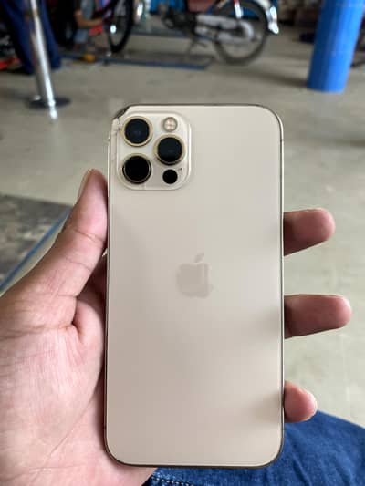 Apple 12pro