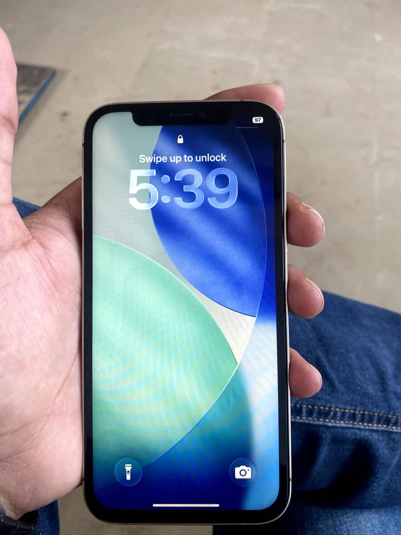 Apple 12pro 1