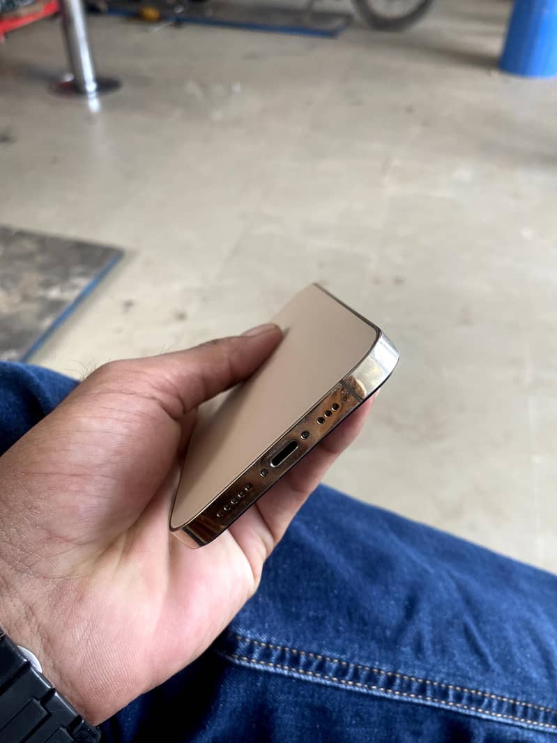 Apple 12pro 2