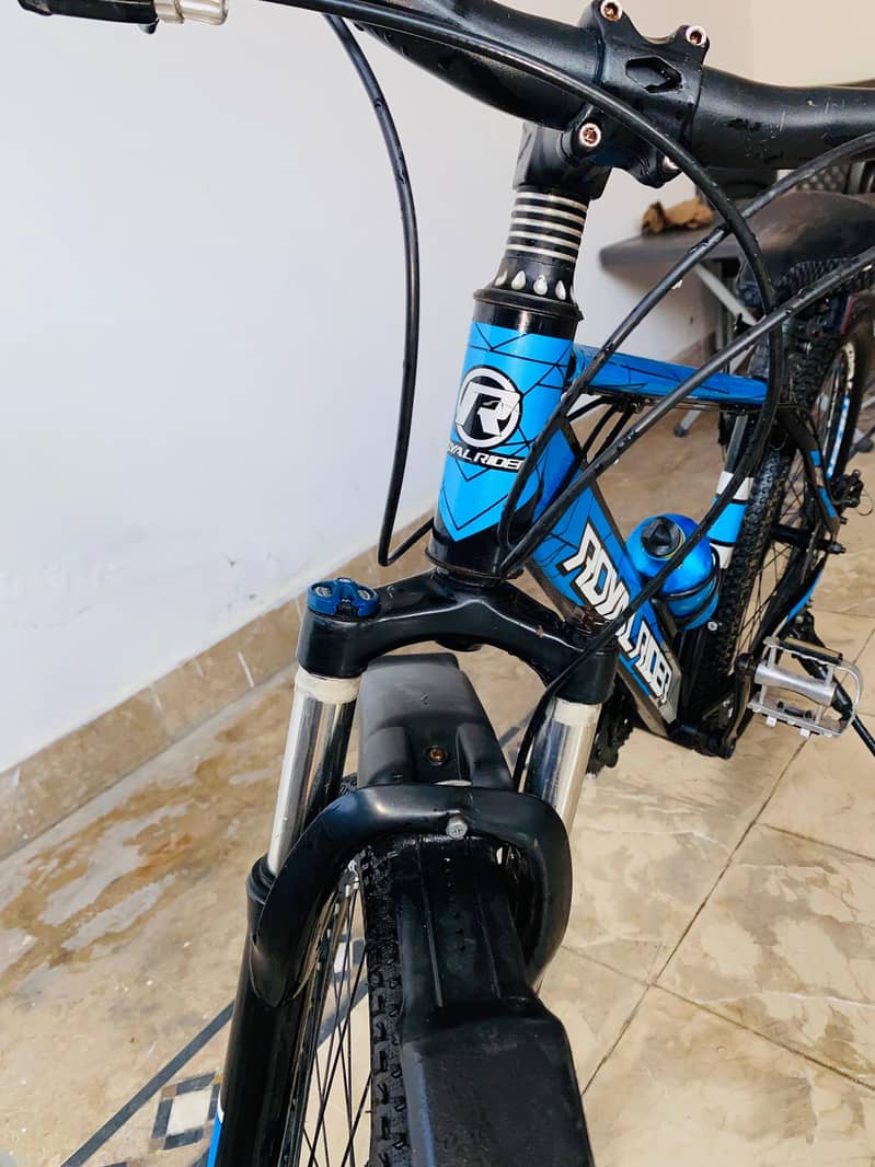 bycycle 1