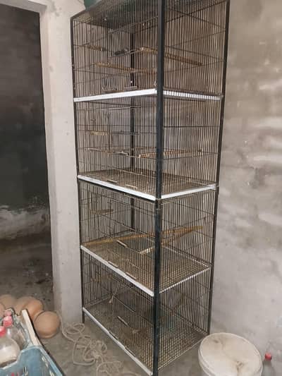 cage,box andmetcia and. . .