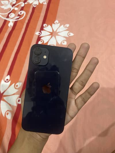 iPhone 12