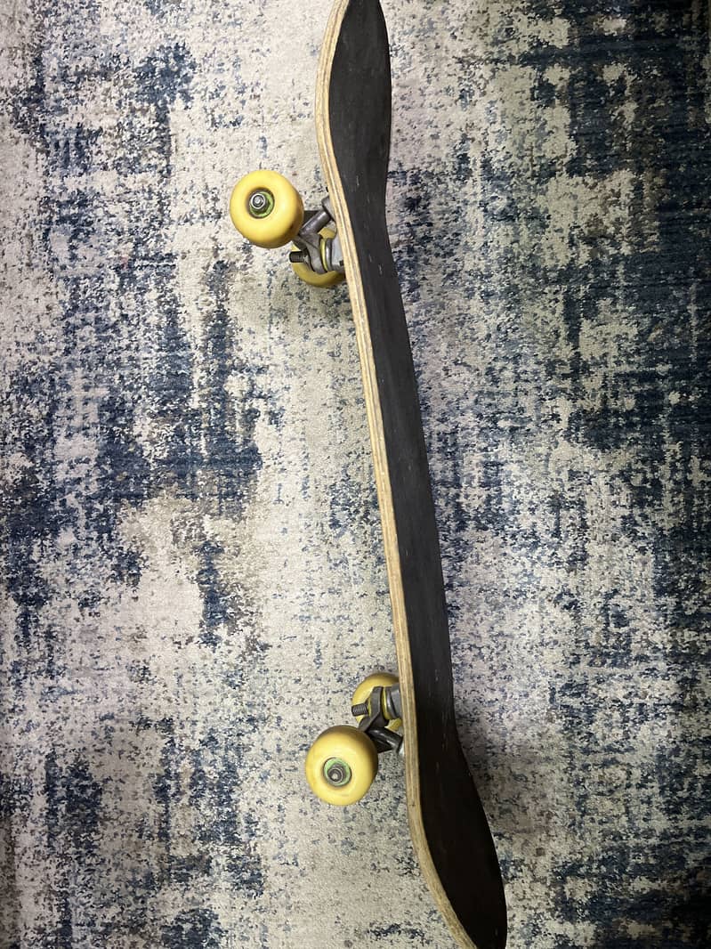 Imported Canada based skateboard 2