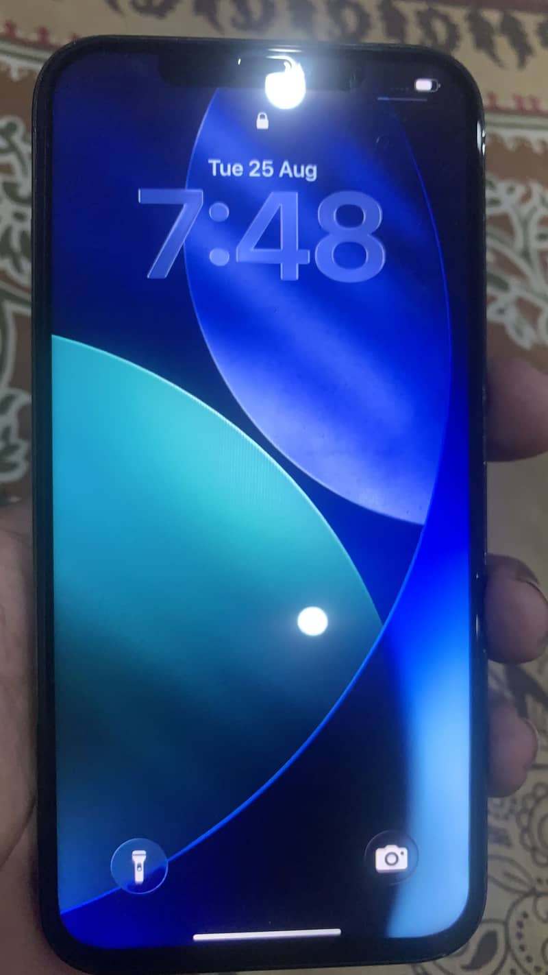 Apple iPhone 12 Pro Max 1